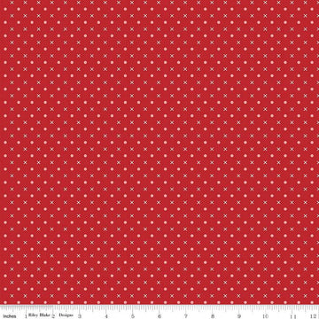 Bee Dots Mary C14178 Schoolhouse - Riley Blake Designs - Geometric Dots Xs - Lori Holt - Quilting Cotton Fabric