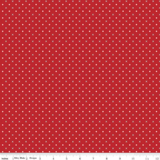 Bee Dots Mary C14178 Schoolhouse - Riley Blake Designs - Geometric Dots Xs - Lori Holt - Quilting Cotton Fabric