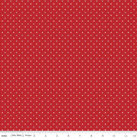 SALE Bee Dots Mary C14178 Schoolhouse by Riley Blake Designs - Geometric Dots Xs - Lori Holt - Quilting Cotton Fabric