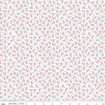 Storytime 30s Ducks C13860 Pink - Riley Blake Designs - Ducks Dots - Quilting Cotton Fabric