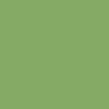 SALE Riley Green Solid Confetti Cottons - Riley Blake Designs - Quilting Cotton Fabric