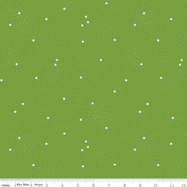 CLEARANCE Dainty Daisy C665 Holly by Riley Blake Designs - Floral Flowers Pin Dots - Quilting Cotton Fabric