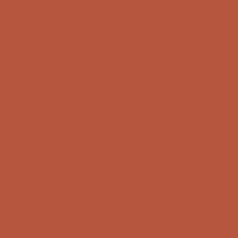 SALE Burnt Orange Confetti Cottons C120 by Riley Blake Designs - Solid - Quilting Cotton Fabric