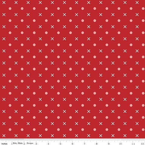 2 yd 26" End of Bolt - SALE Bee Dots WIDE BACK WB14183 Schoolhouse - Riley Blake - 107/108" Wide - Xs and Dots - Quilting Cotton Fabric