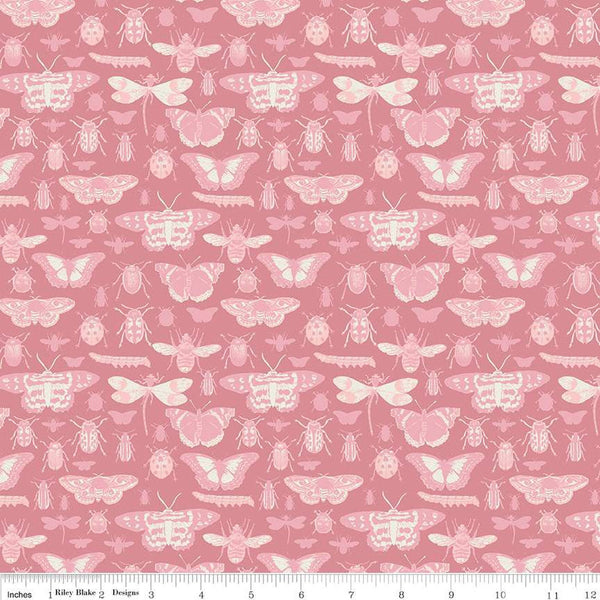 CLEARANCE Floral Gardens Insects C14362 Dusty Rose - Riley Blake Designs - Bugs Beetles Dragonflies Butterflies - Quilting Cotton Fabric