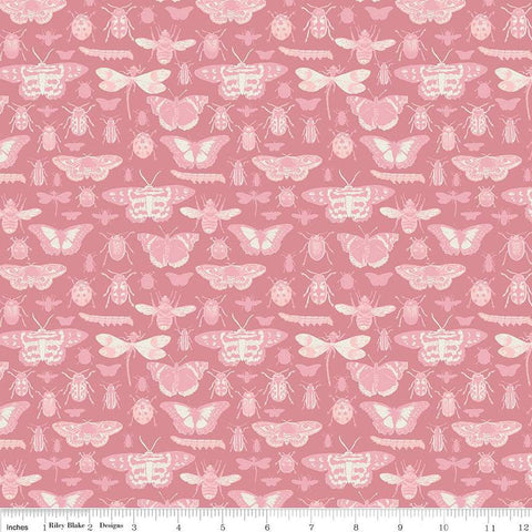 CLEARANCE Floral Gardens Insects C14362 Dusty Rose - Riley Blake Designs - Bugs Beetles Dragonflies Butterflies - Quilting Cotton Fabric