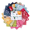 SALE Floral Gardens Fat Quarter Bundle 19-Piece - Riley Blake Designs -  Precut - Floral - Quilting Cotton Fabric
