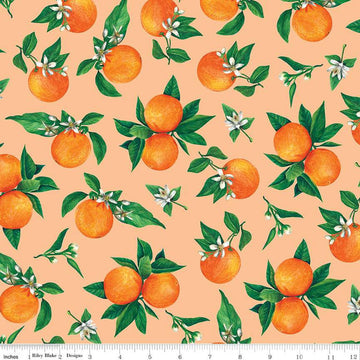 28" End of Bolt - SALE Monthly Placemats 2 June Oranges C13931 Marmalade - Riley Blake Designs - Quilting Cotton Fabric
