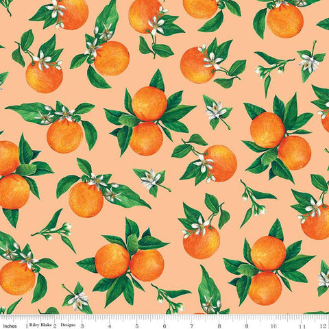 SALE Monthly Placemats 2 June Oranges C13931 Marmalade - Riley Blake Designs - Quilting Cotton Fabric