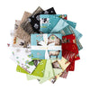 SALE Spring Barn Quilts Fat Quarter Bundle 18-Piece - Riley Blake Designs -  Precut - Quilting Cotton Fabric