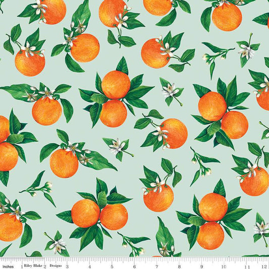 26" End of Bolt - SALE Monthly Placemats 2 June Oranges C13931 Mint - Riley Blake Designs - Quilting Cotton Fabric