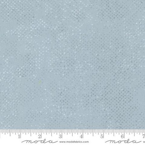 Spotted 1660 Platinum - Moda Fabrics - Semi-Solid Gray - Quilting Cotton Fabric