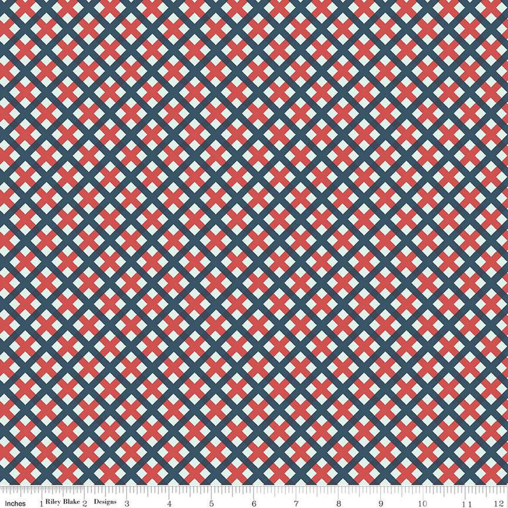 SALE Sweet Freedom PRINTED Gingham Picnic C14417 Multi by Riley Blake Designs - Patriotic Diagonal Check - Quilting Cotton Fabric