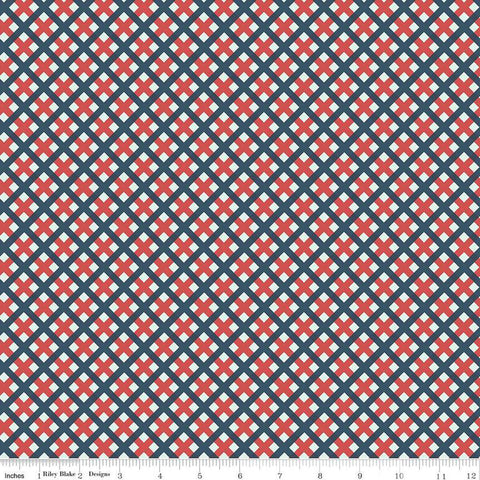 SALE Sweet Freedom PRINTED Gingham Picnic C14417 Multi by Riley Blake Designs - Patriotic Diagonal Check - Quilting Cotton Fabric