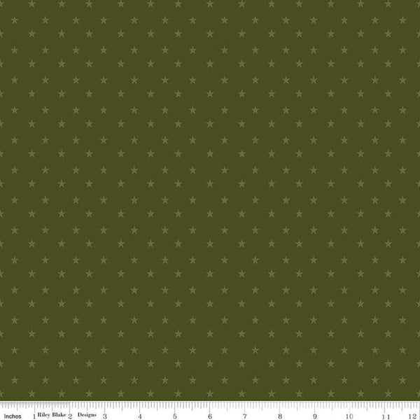 Coming Home Stars C14423 Green by Riley Blake Designs - Armed Forces Patriotic - Quilting Cotton Fabric