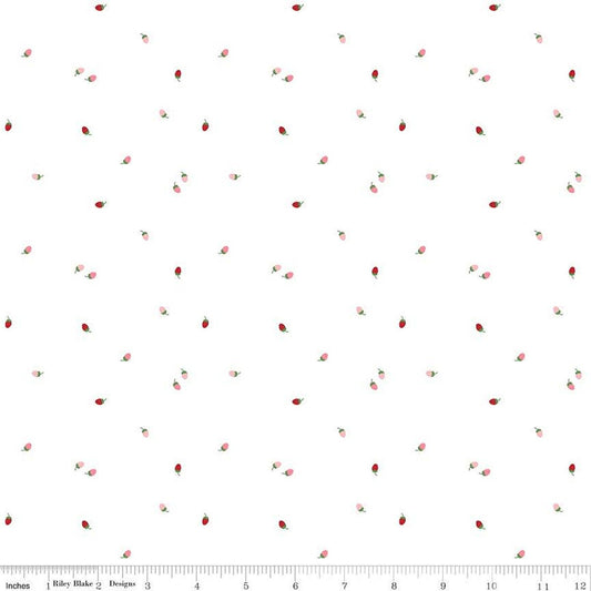 16" End of Bolt - To Grandmother's House Bit of Berries C14377 Cloud by Riley Blake - Little Red Riding Hood - Quilting Cotton Fabric