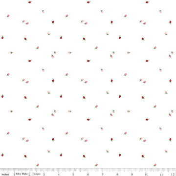 10" End of Bolt - To Grandmother's House Bit of Berries C14377 Cloud by Riley Blake - Little Red Riding Hood - Quilting Cotton Fabric