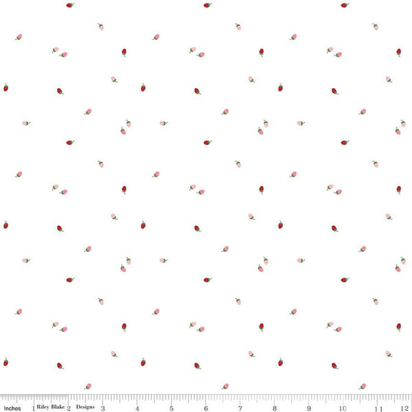 To Grandmother's House Bit of Berries C14377 Cloud by Riley Blake Designs - Little Red Riding Hood - Quilting Cotton Fabric