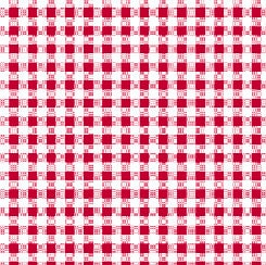 CLEARANCE Dots and Stripes and More PRINTED Medium Gingham 28896 R Red White - QT Fabrics - Check Checks Checkered - Quilting Cotton Fabric