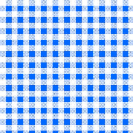 CLEARANCE Dots and Stripes and More Brights PRINTED Medium Gingham 28896 B Blue White - QT Fabrics -  Checks - Quilting Cotton Fabric