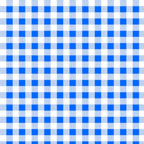 Dots and Stripes and More Brights PRINTED Medium Gingham 28896 B Blue White - QT Fabrics - Check Checks Checkered - Quilting Cotton Fabric