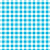 CLEARANCE Dots and Stripes and More Brights PRINTED Medium Gingham 28896 Q Turquoise White - QT Fabrics - Check - Quilting Cotton Fabric