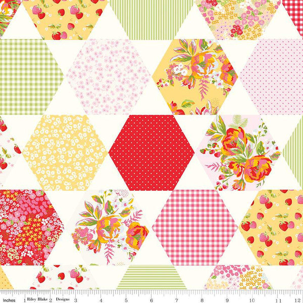 SALE Picnic Florals Cheater Print C14617 Multi by Riley Blake Designs - Geometric Hexagons Hexagon Stars - Quilting Cotton Fabric