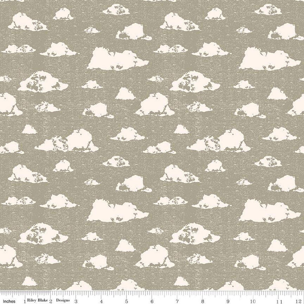 SALE Dancing Daisies Skies C14541 Sage by Riley Blake Designs - Clouds - Quilting Cotton Fabric