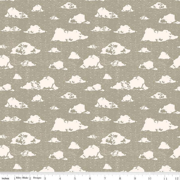 CLEARANCE Dancing Daisies Skies C14541 Sage by Riley Blake Designs - Clouds - Quilting Cotton Fabric