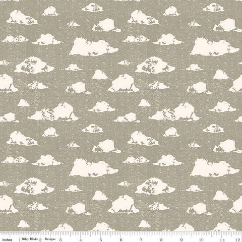SALE Dancing Daisies Skies C14541 Sage by Riley Blake Designs - Clouds - Quilting Cotton Fabric