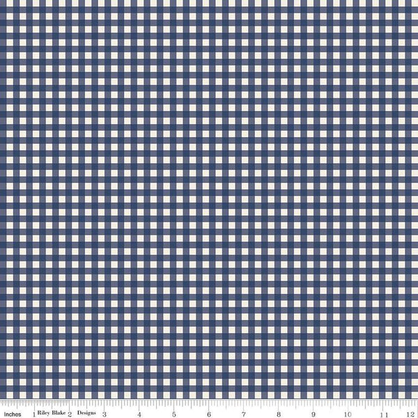 CLEARANCE Copacetic PRINTED Gingham C14684 Blackberry by Riley Blake Designs - Checks Check Checkered - Quilting Cotton Fabric