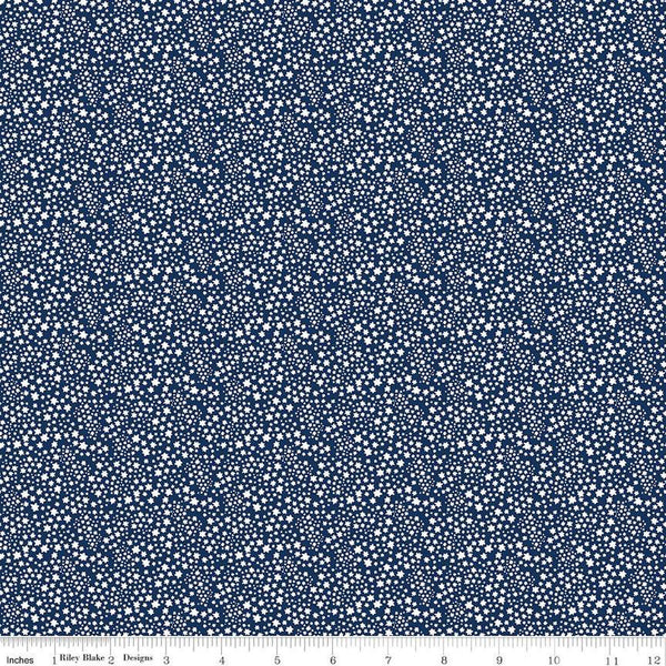 CLEARANCE Copacetic Starflower C14685 Midnight by Riley Blake Designs - Tiny White Blossoms - Quilting Cotton Fabric