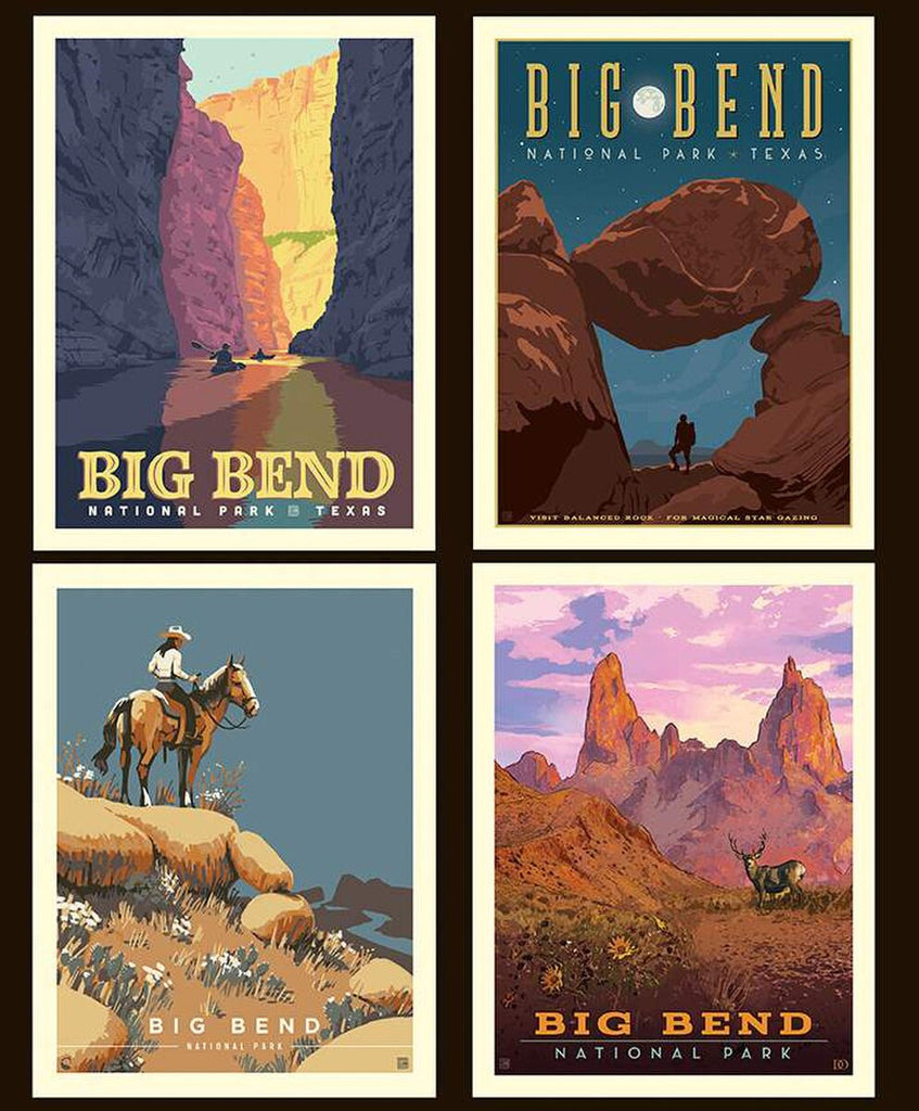 SALE National Parks Big Bend Pillow Panel PPD15098 by Riley Blake - DIGITALLY Printed Texas - Quilting Cotton Fabric