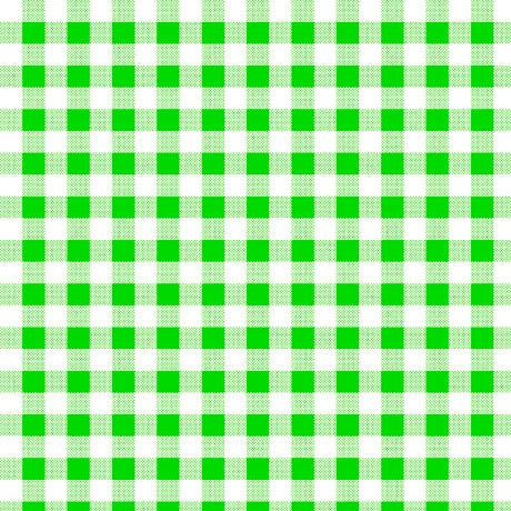 CLEARANCE Dots and Stripes and More Brights PRINTED Medium Gingham 28896 G Green White - QT Fabrics - Checks - Quilting Cotton Fabric