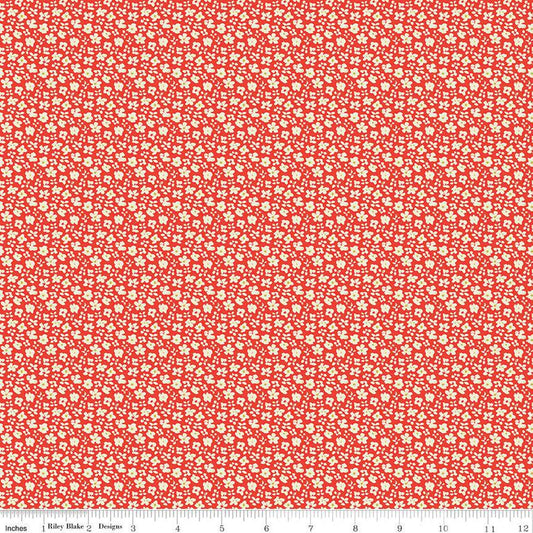 SALE Feed My Soul Daisies C14555 Red - Riley Blake Designs - Floral Flowers - Quilting Cotton Fabric