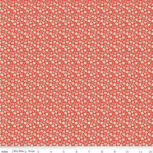 Feed My Soul Daisies C14555 Red by Riley Blake Designs - Floral Flowers - Quilting Cotton Fabric