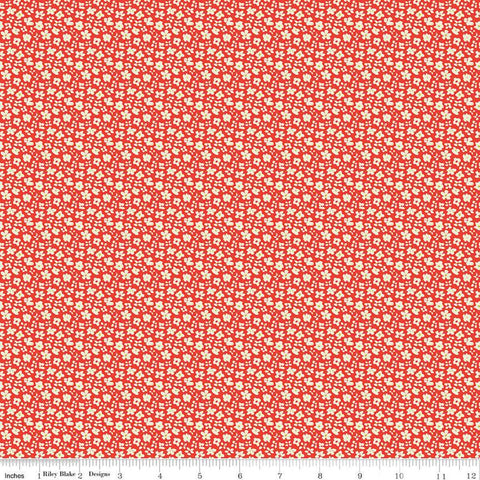 SALE Feed My Soul Daisies C14555 Red by Riley Blake Designs - Floral Flowers - Quilting Cotton Fabric