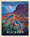 SALE National Parks Big Bend Poster Panel PD15097 - Riley Blake Designs - DIGITALLY PRINTED Texas - Quilting Cotton Fabric