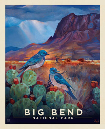 SALE National Parks Big Bend Poster Panel PD15097 - Riley Blake Designs - DIGITALLY PRINTED Texas - Quilting Cotton Fabric