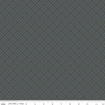 National Parks Diamonds Slate - Riley Blake Designs - Quilting Cotton Fabric