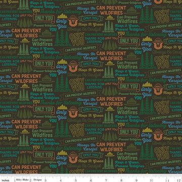 Only You Catchphrase C14643 Bark - Riley Blake Designs - Smokey Bear Wildfire Prevention - Quilting Cotton Fabric - Licensed Product