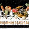 14" End Of Bolt Pumpkin Patch Barn Dance Border Stripe CD14573 White - Riley Blake - DIGITALLY PRINTED - J. Wecker Frisch - Quilting Cotton
