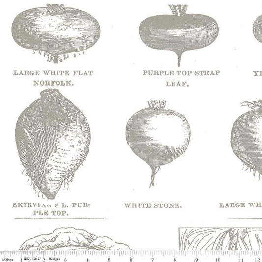 CLEARANCE Pumpkin Patch Vintage Veggies C14584 Gray - Riley Blake Designs - Halloween Text - J. Wecker Frisch - Quilting Cotton Fabric