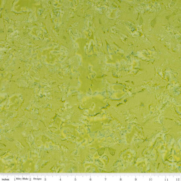 3 Yard Cut - SALE Batiks Expressions WIDE BACK BTWB151 Sage - 3-Yard Bundle - Riley Blake - 107/108" Wide  - Quilting Cotton Fabric