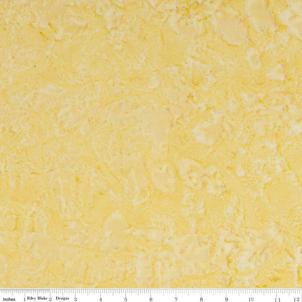 CLEARANCE 2 Yard 12 inch End of Bolt - Batiks Expressions WIDE BACK BTWB142 Dijon - Riley Blake - 107/108" Wide  - Quilting Cotton Fabric