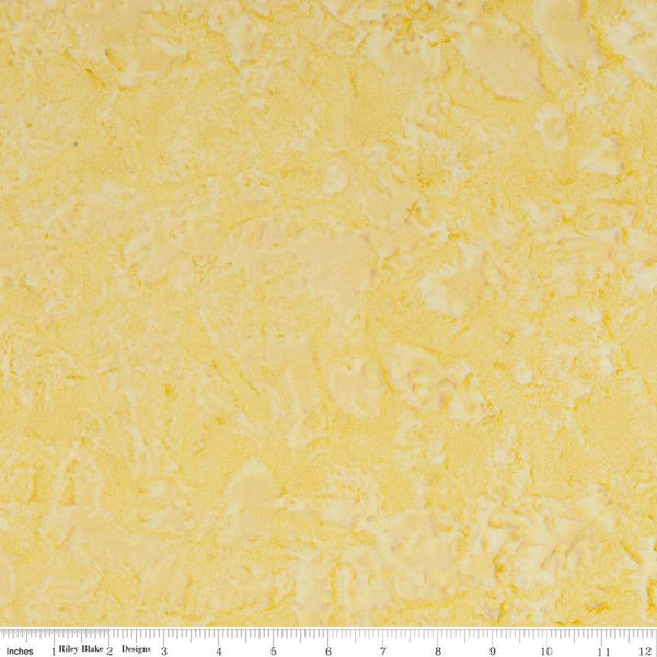 CLEARANCE 2 Yard 12 inch End of Bolt - Batiks Expressions WIDE BACK BTWB142 Dijon - Riley Blake - 107/108" Wide  - Quilting Cotton Fabric