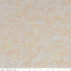 3-Yard Cut - SALE Batiks Expressions WIDEBACK BTWB126 Pale Peach - 3-Yard Bundle - Riley Blake - 108"  - Quilting Cotton Fabric