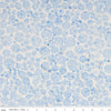 SALE Batiks Expressions Tjaps BTCB1002 Little Boy Blue - Riley Blake Designs - Hand-Dyed Print - Quilting Cotton Fabric