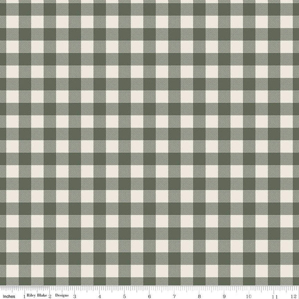 Image of green colored 1/2 inch gingham stripe from the Riley Blake Pumpkin Spice collection.
Cute Little Fabric Shop