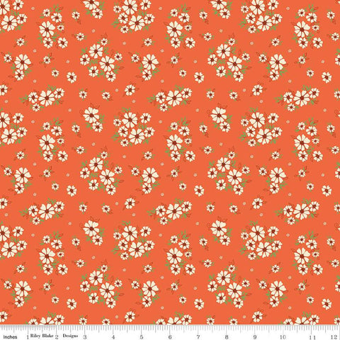 Image of the Autumn Afternoon Daisies Autumn quilting cotton fabric by Heather Peterson for Riley Blake Designs. Features clusters of white flowers with green leaves on an orange background. 
Cute Little Fabric Shop